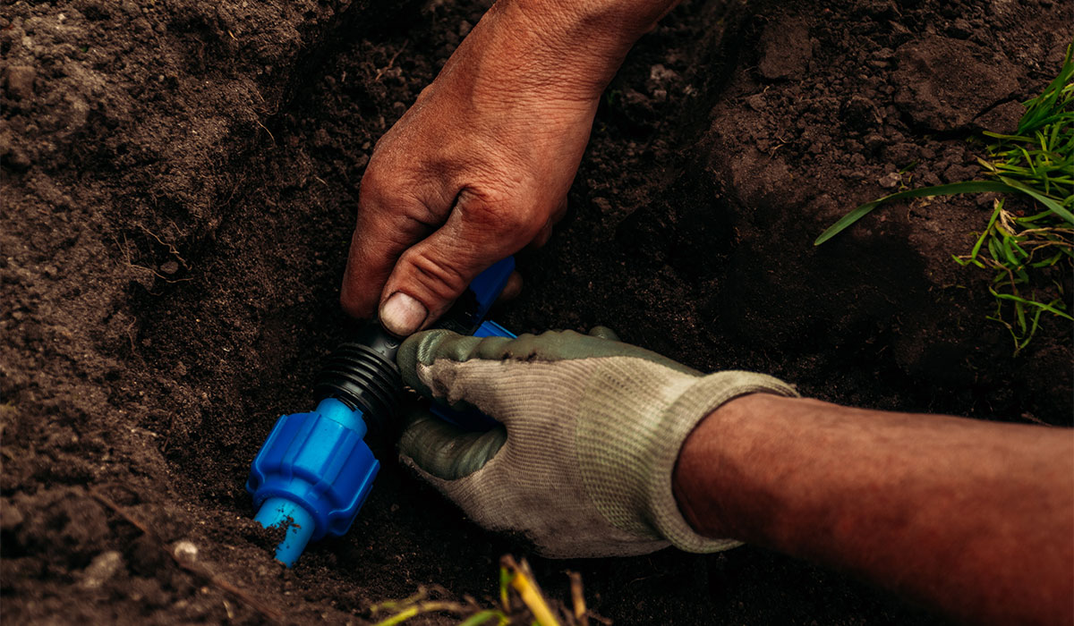 landscaper installing a sprinkler system